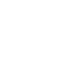 Pajso logga